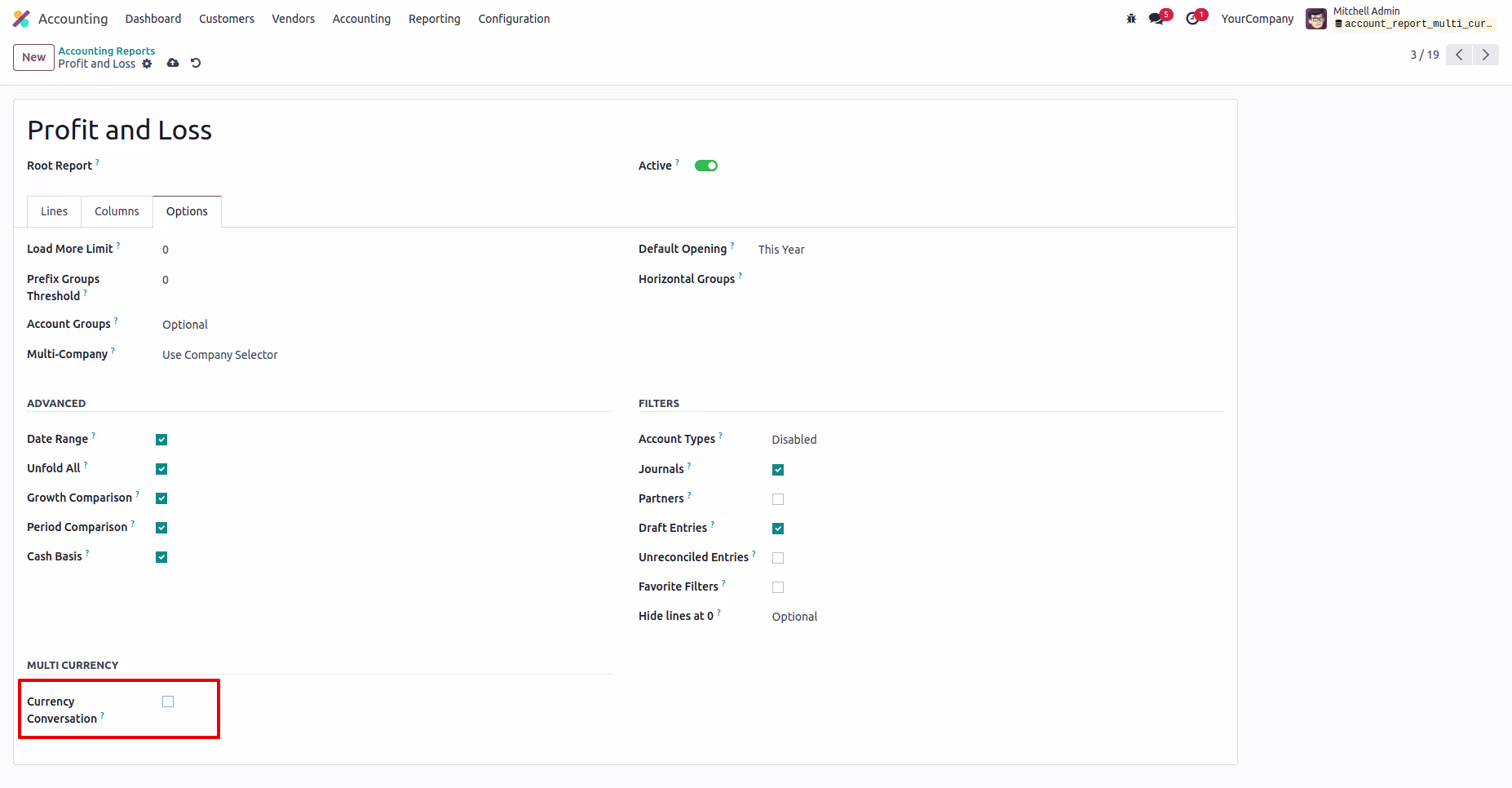 Account Reports Multi Currency