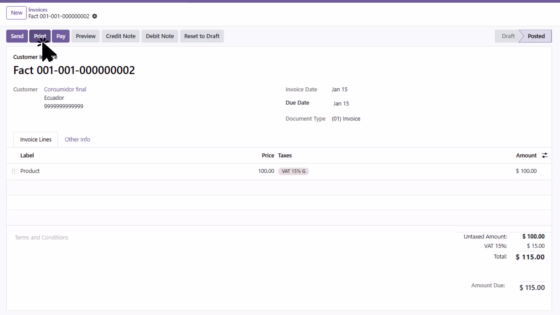 Configure Invoice Report