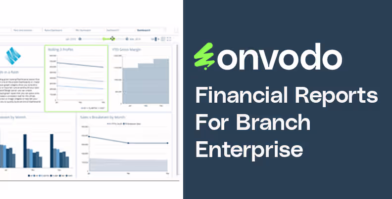 Financial Reports For Branch Enterprise
