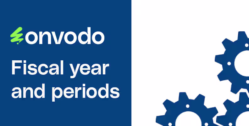 Fiscal year and periods
