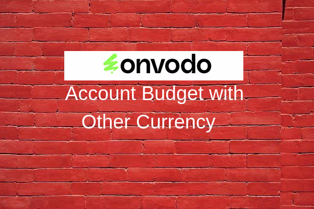 Account Budget with Multi Currency