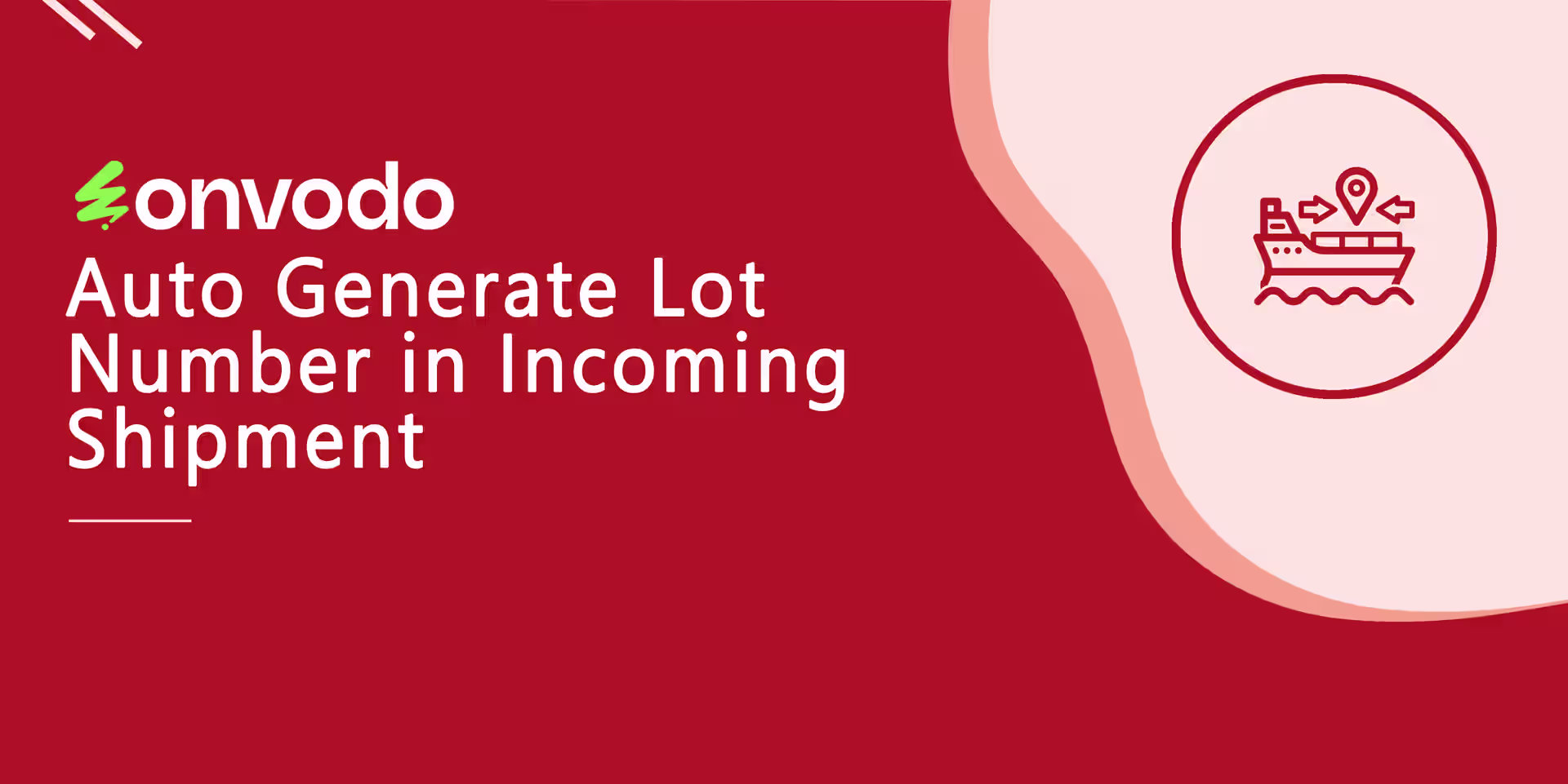 Auto Generate Lot Number in Incoming Shipment